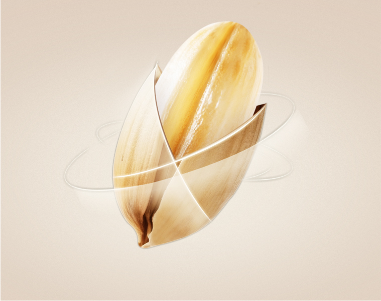 Oat cell-wall breaking technology