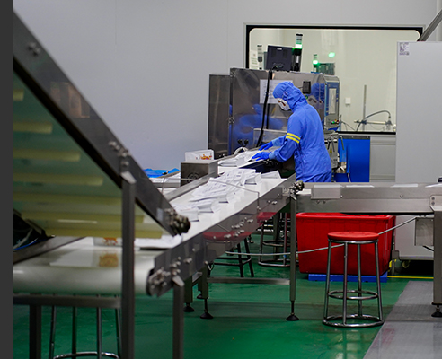 Automated production lines designed for consistency, scale, and food safety