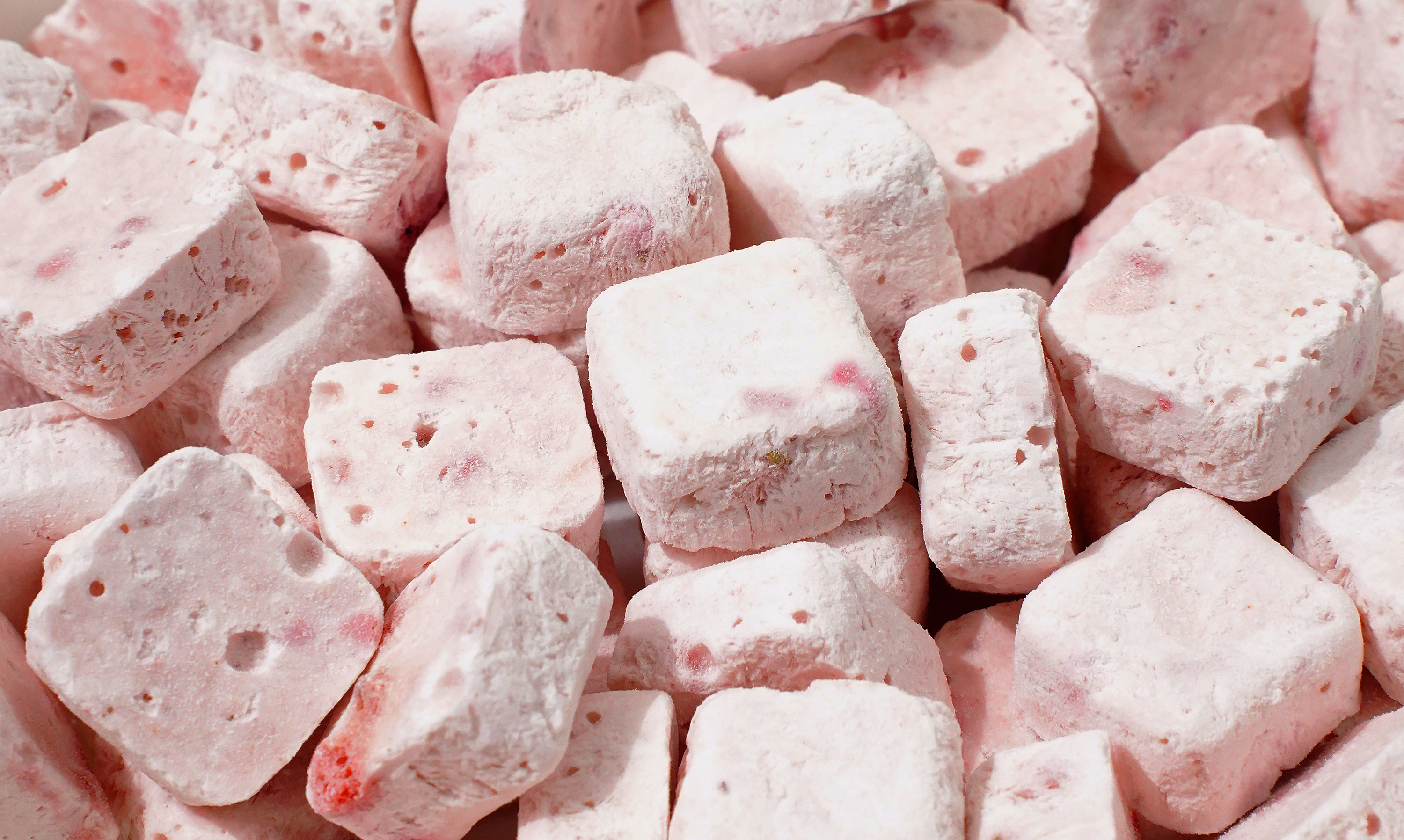 Freeze-Dried Strawberry Yogurt Bites