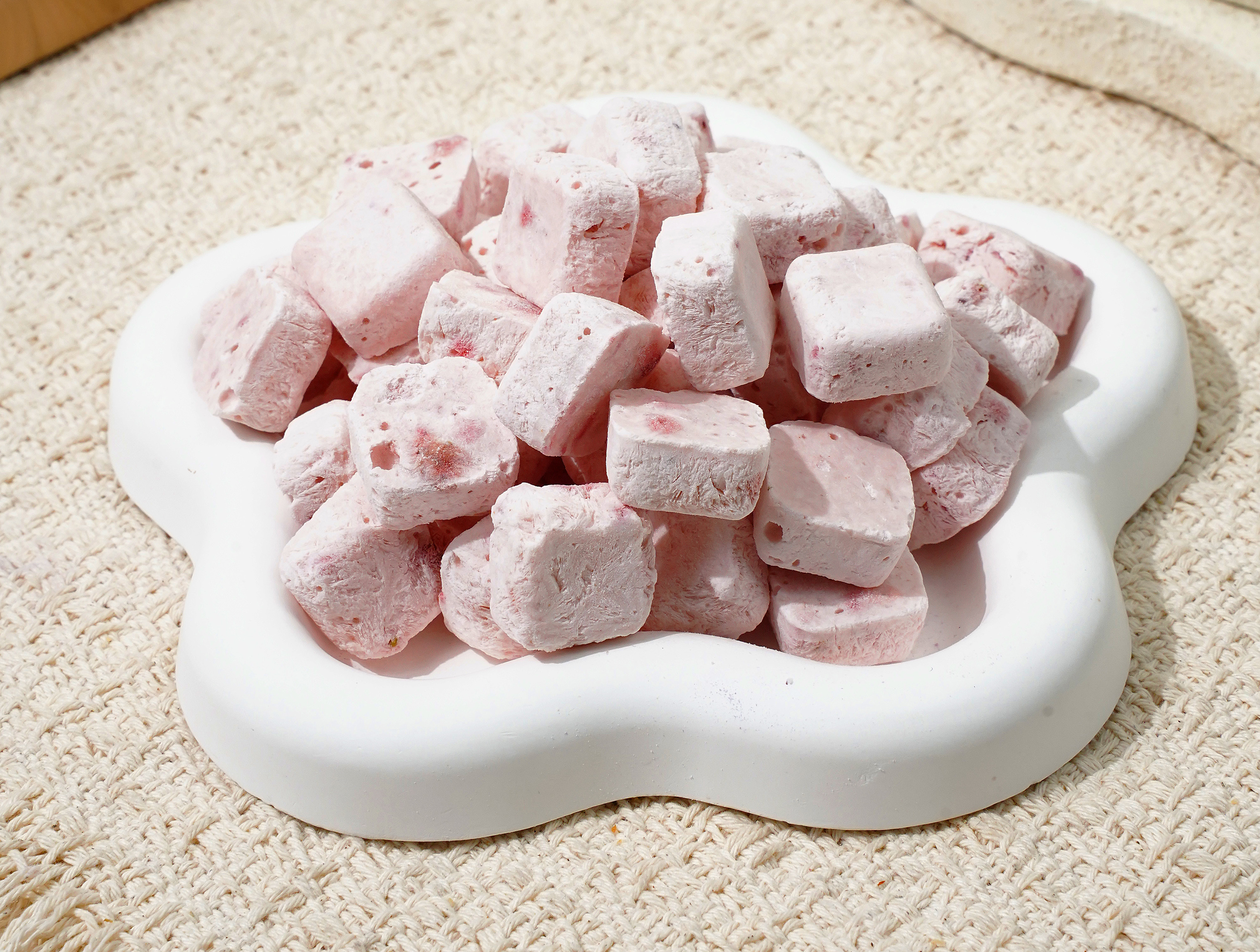 Freeze-Dried Strawberry Yogurt Bites