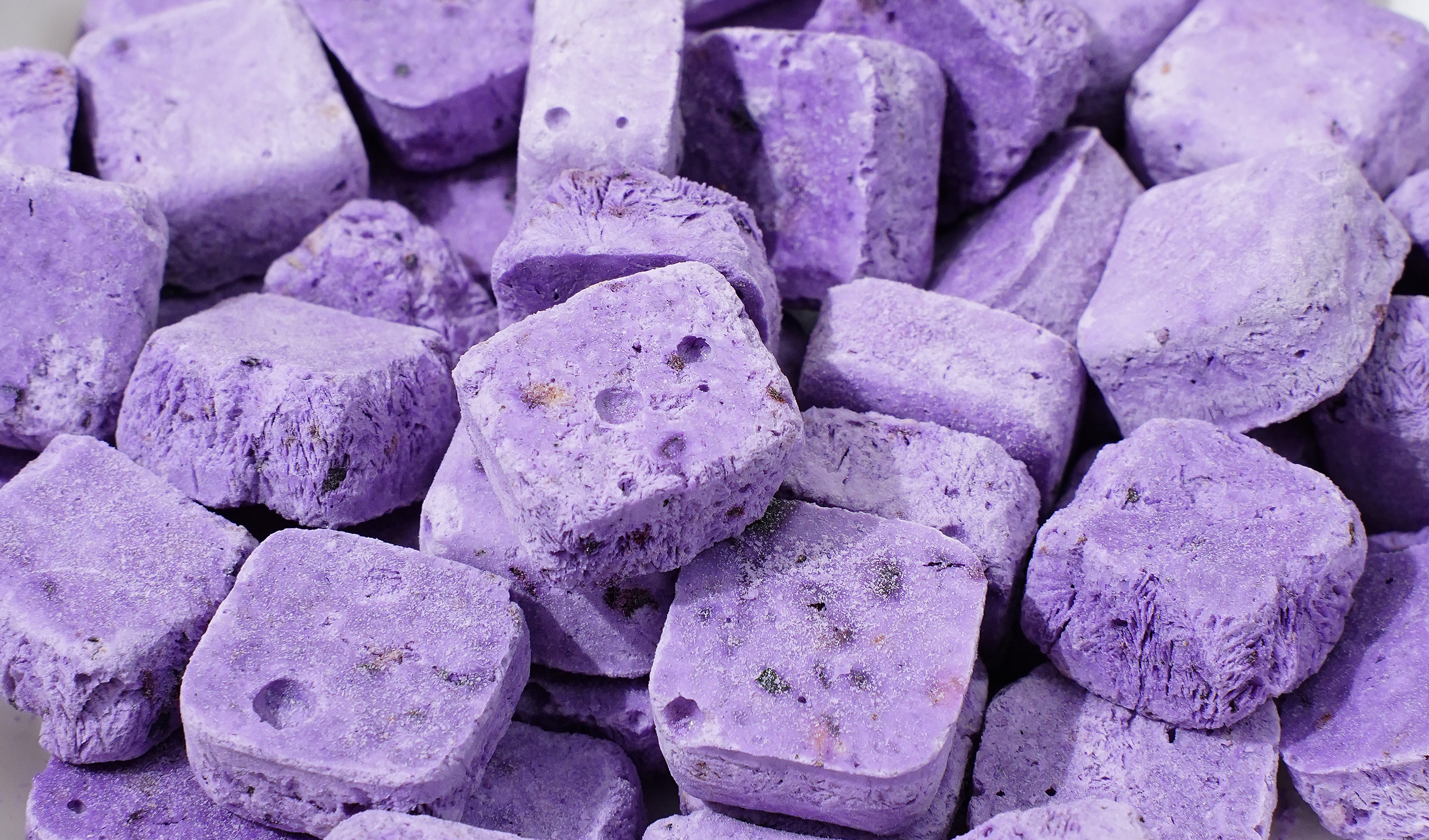 Freeze-Dried Blueberry Yogurt Bites