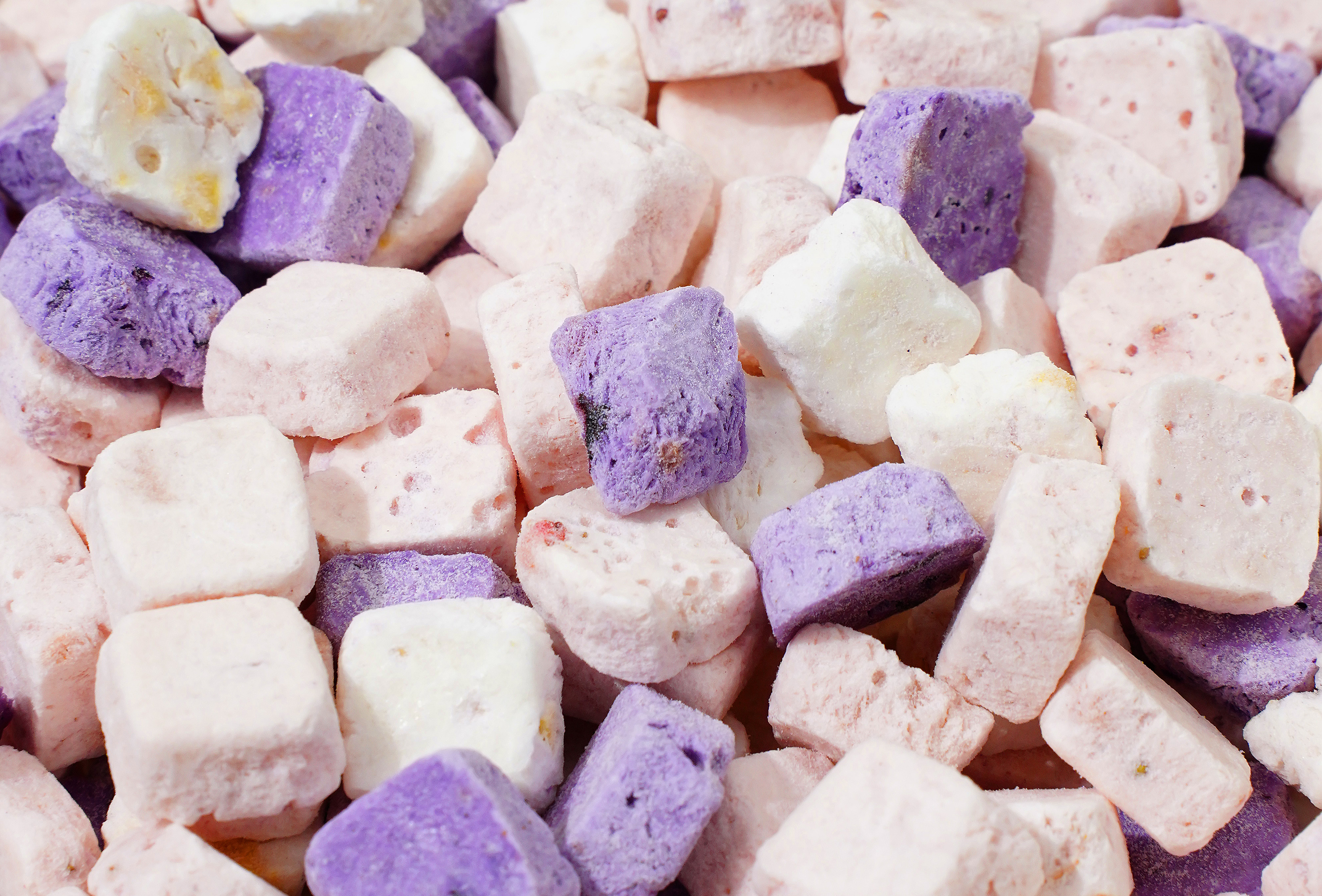 Freeze-Dried Mixed Yogurt Bites